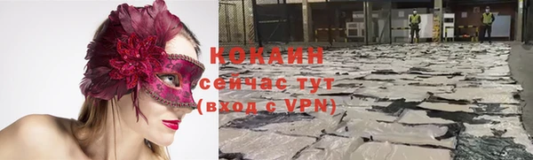 а пвп мука Абаза