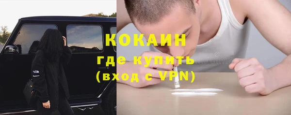 твердый Протвино